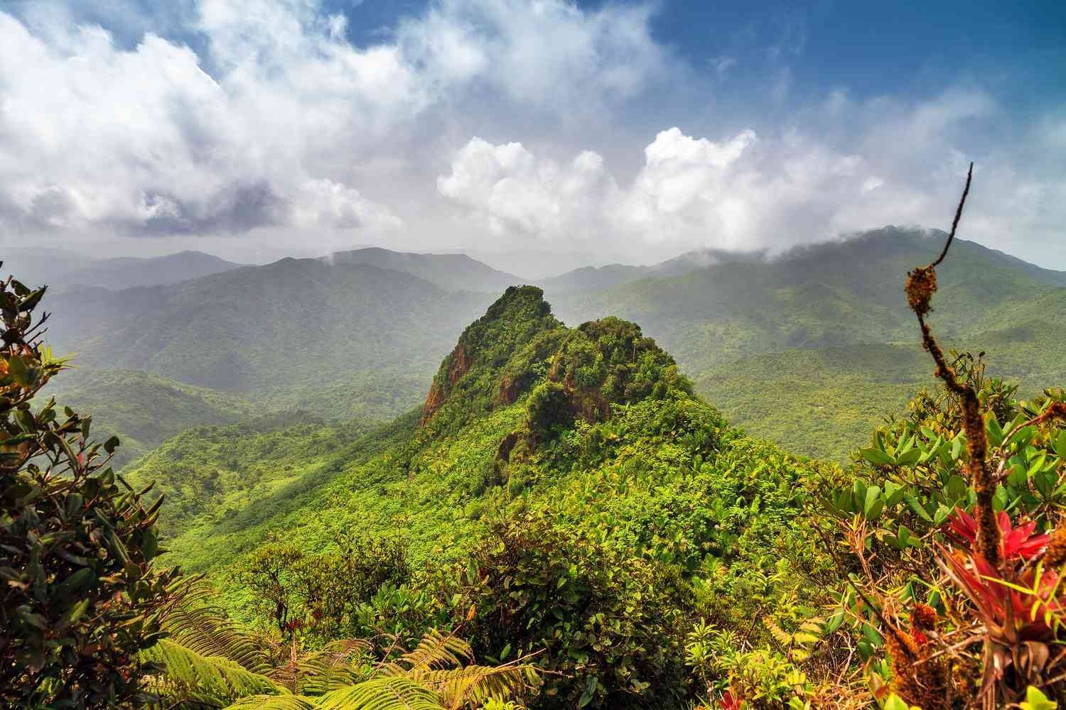 Subimos entre nubes hasta una torre de piedra con vista a los picos de El Yunque.