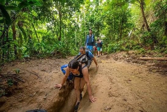 Una caminante sube por un sendero de tierra en el bosque, ayudándose con las manos